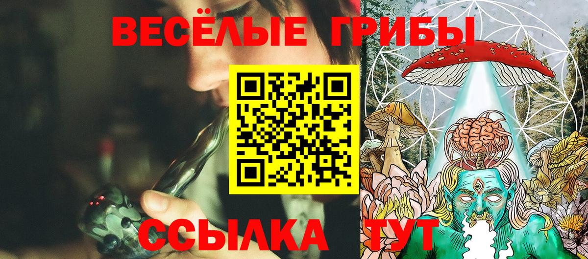 Каменск-Шахтинский  Псилоцибиновые грибы Psilocybine cubensis  Вход с VPN 